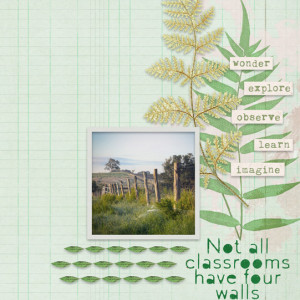 Explore Observe Learn