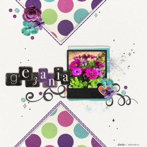 2022-09-01_Gezania
