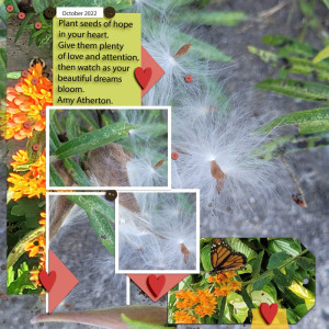 Seeds Blowing Away October 2022