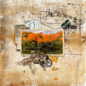Rjefferies-staycurious
