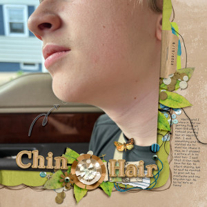1 Chin Hair