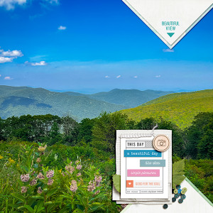 From the TLP blog: One Template 4 Ways | Overlook