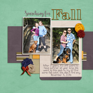 SearchingForFall