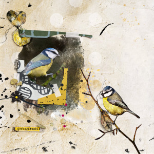 Birds