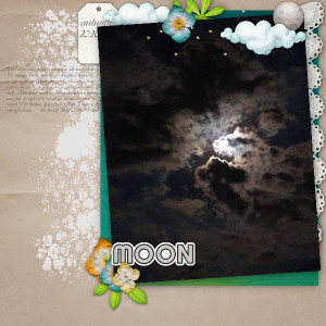 Moon