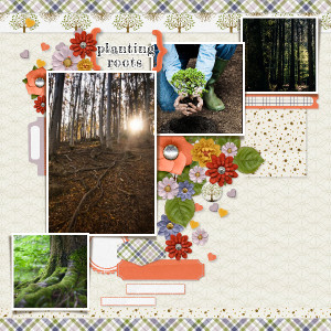 Planting Roots