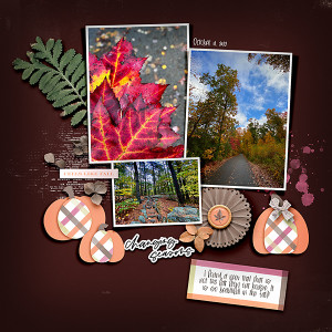 A New Trail