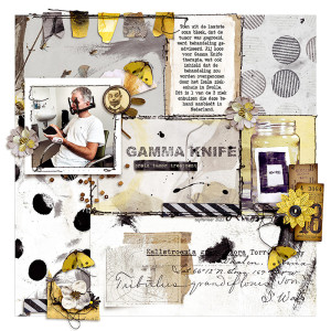 Gamma Knife