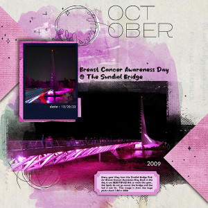 2022-Template-Ch-Breast-Cancer