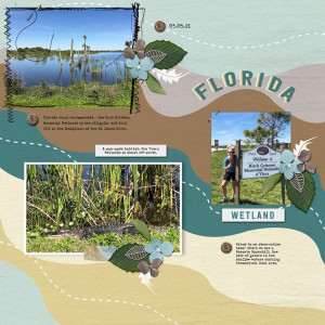 Florida Wetland