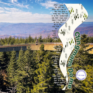Clingmans Dome_right