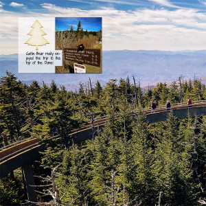 Clingmans Dome_left