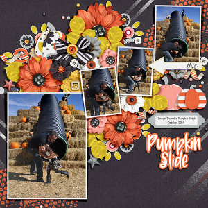 Pumpkin Slide