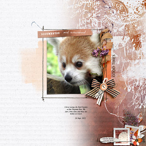 Red Panda
