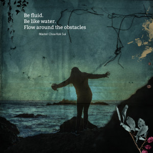 Flow around the  obstacles