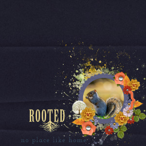 Putting Down Roots