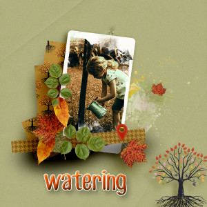 Watering