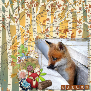 Fox
