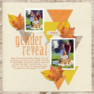 Gender Reveal