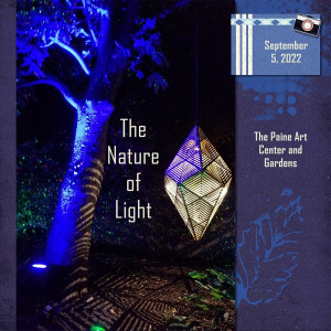 The Nature Of Light Title Page