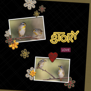 Story
