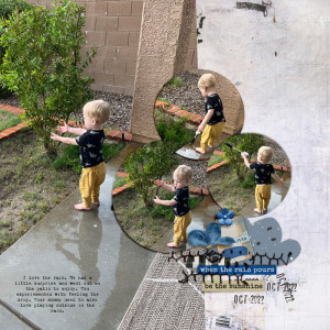 Ott0-Rain-NovJournalChallenge-copy