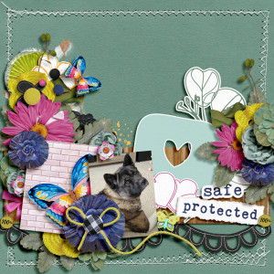 safe & protected