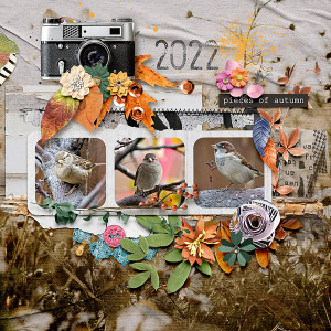 Pieces of Autumn