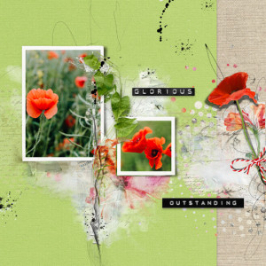 Poppy
