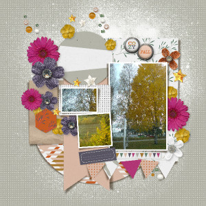 Autumn trees