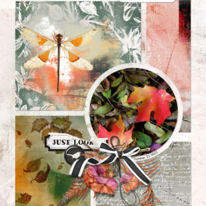 Lynn-Grieveson_2022-11_November_BYOC_1104_Autumna_Inspiration_web