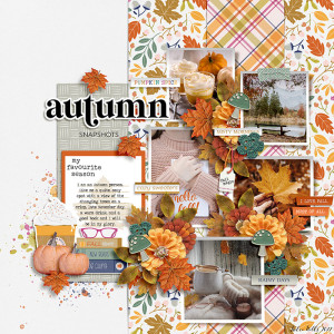autumn-snapshots