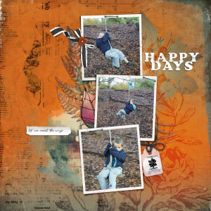 Rope Swing