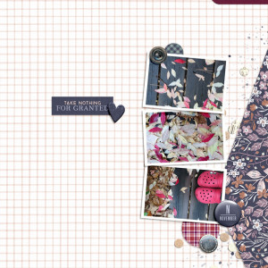 Scrapping-with-Liz_2022-11_November-MIS_web