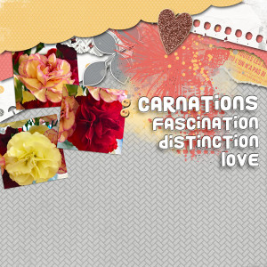 MIS_carnations