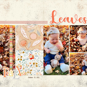 Fall Leaves
