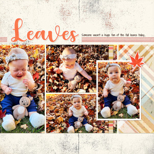Fall Leaves_right