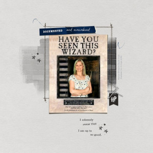 Have You Seen This Wizard?
