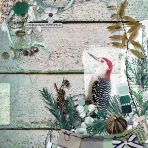 Marilyn_Rachel-Jefferies_2022-11_November_DYD_1111_Inglewood_Woodpecker_web