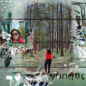 Wander