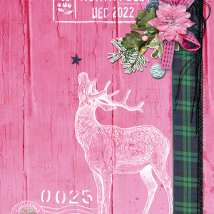 Paula-Kesselring_2022-11_November_DYD_1111_Make-It-Merry_Cover_web