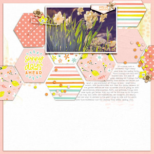spring perspective | December BYOC Celebration