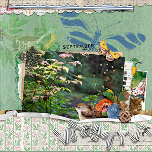 September Beauty