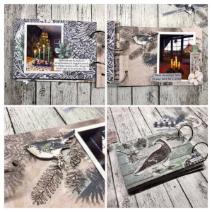 Advent album 2