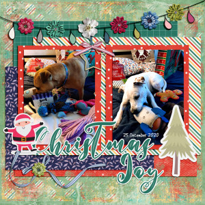 Christmas Joy