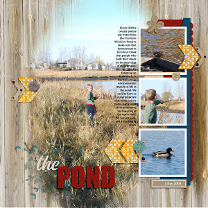 The Pond