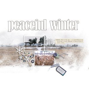 22-11_Peaceful winter