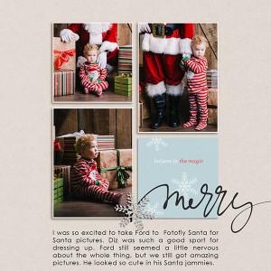 Fotofly Santa 2015 (RT)