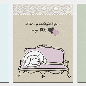Gratitude affirmation cards