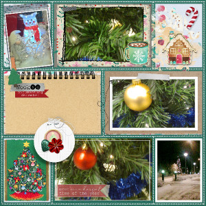 Documenting December